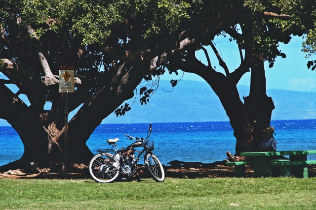 自転車で海辺の景色を楽しめるイベント
